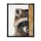 Stupell Industries Raccoon with Wood Fence Illustration Framed Floater Canvas Wall Art